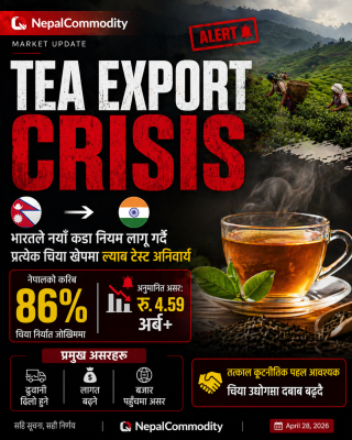 नेपालको चिया निर्यातमा संकट, भारतको नयाँ नियम प्रभावकारी